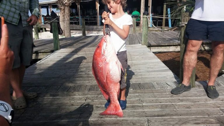 family fishing trips orange beach Gulf Shores Fishing Charters